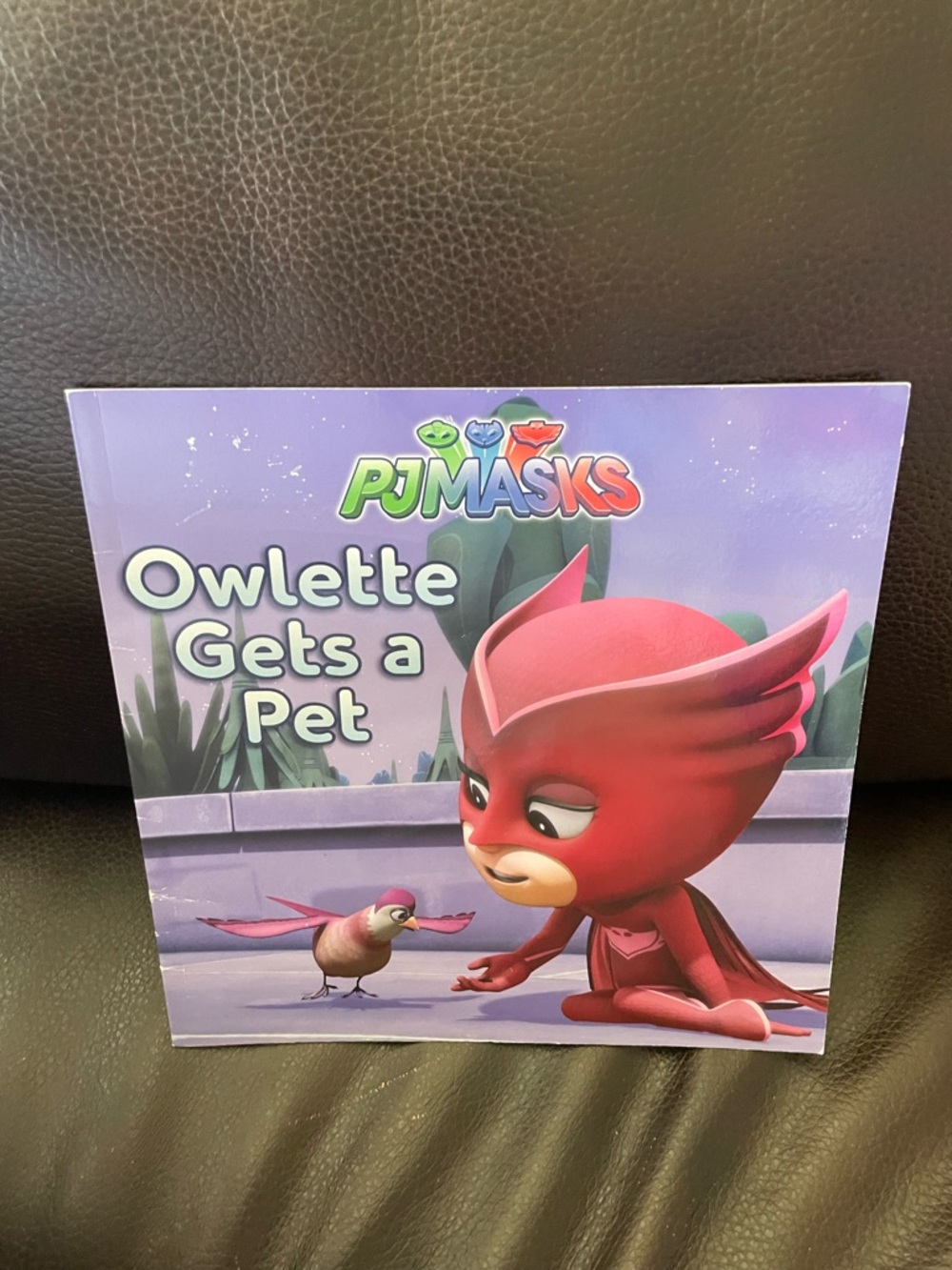 PJ Masks: Owlette Gets a Pet - Red Children's Storybook